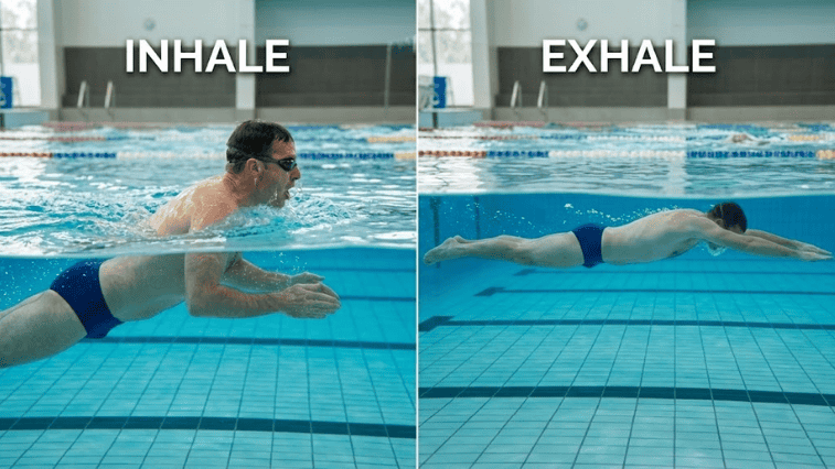 Breaststroke Breathing Technique