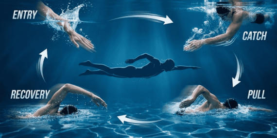 Four Phases of Freestyle Arm Stroke - Complete Guide
