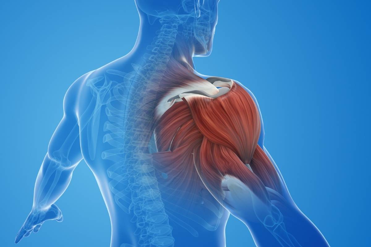 Shoulder Impingement for swimmers