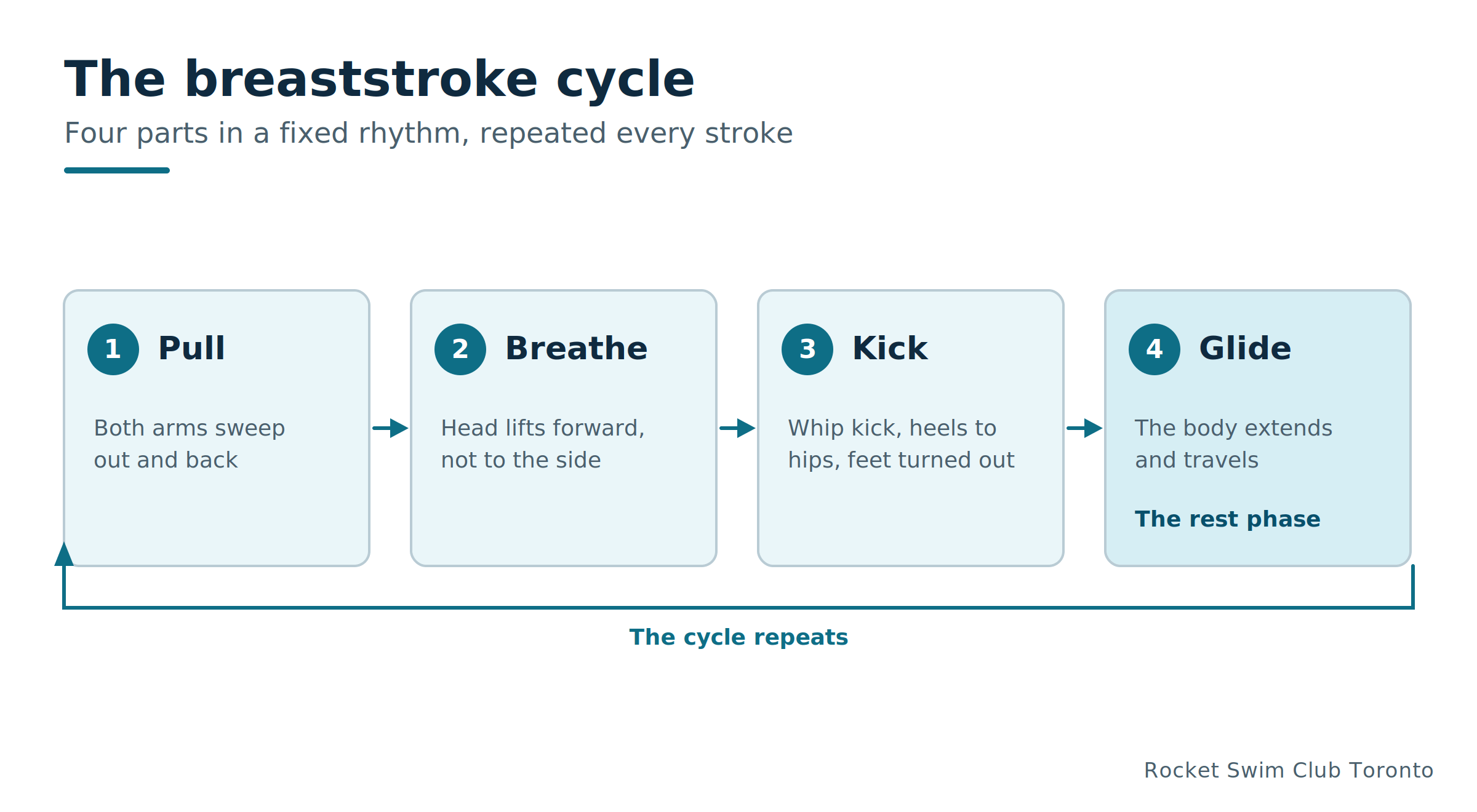 Breaststroke cycle