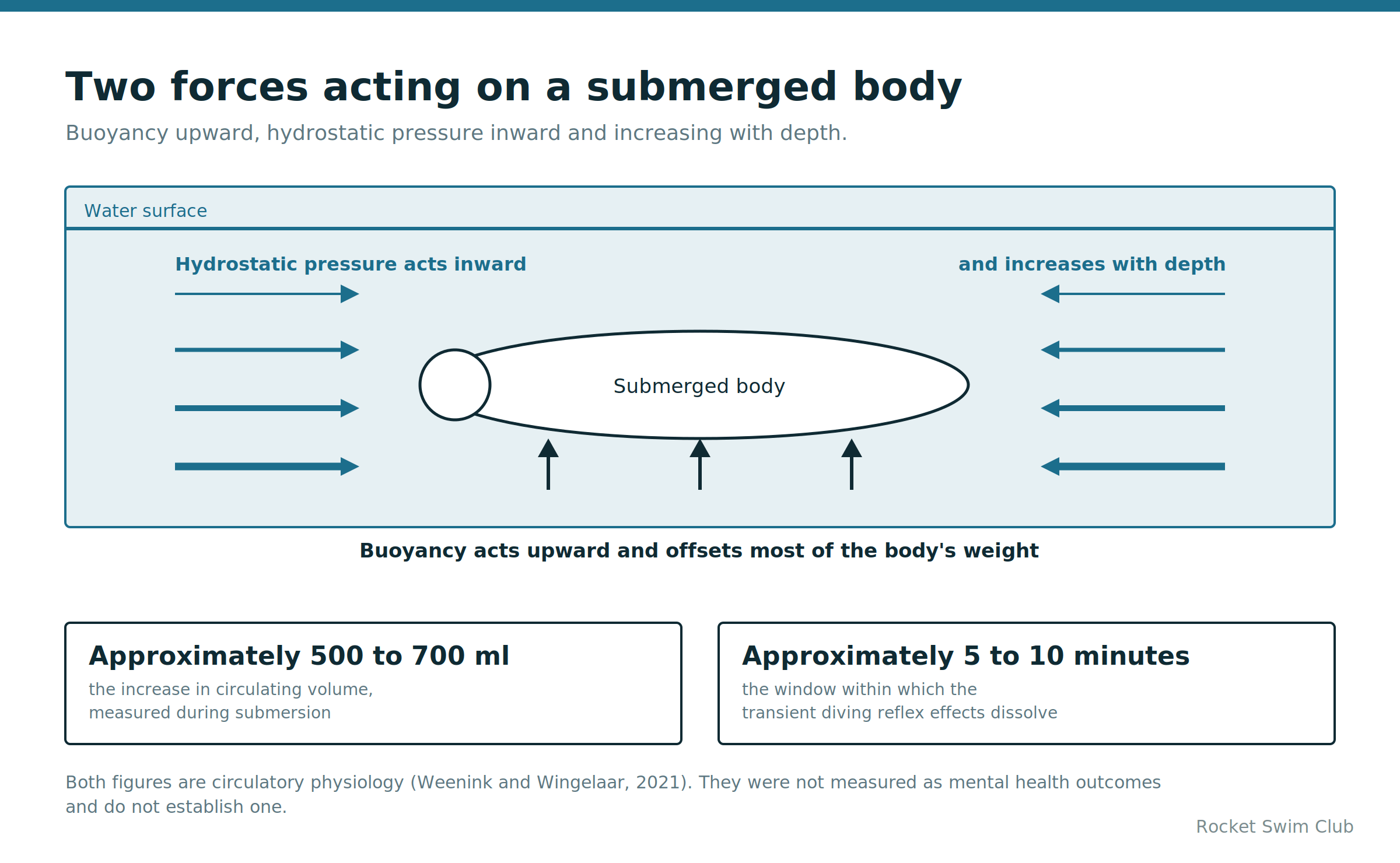 Forces on a submerged body