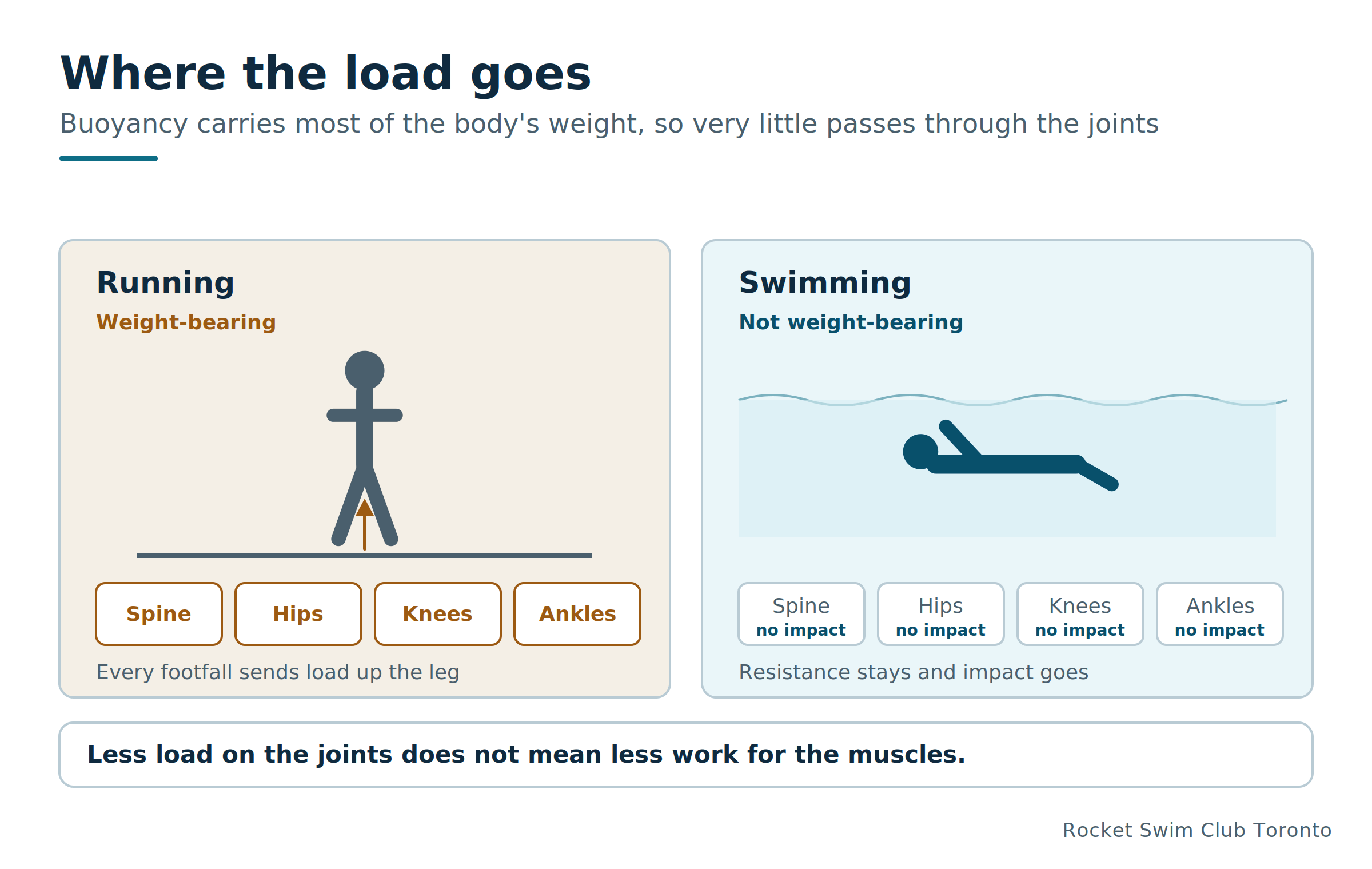 Joint load in swimming