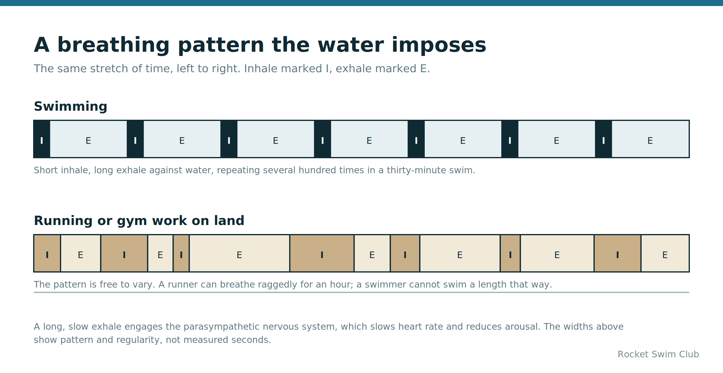 Swimmer breathing pattern