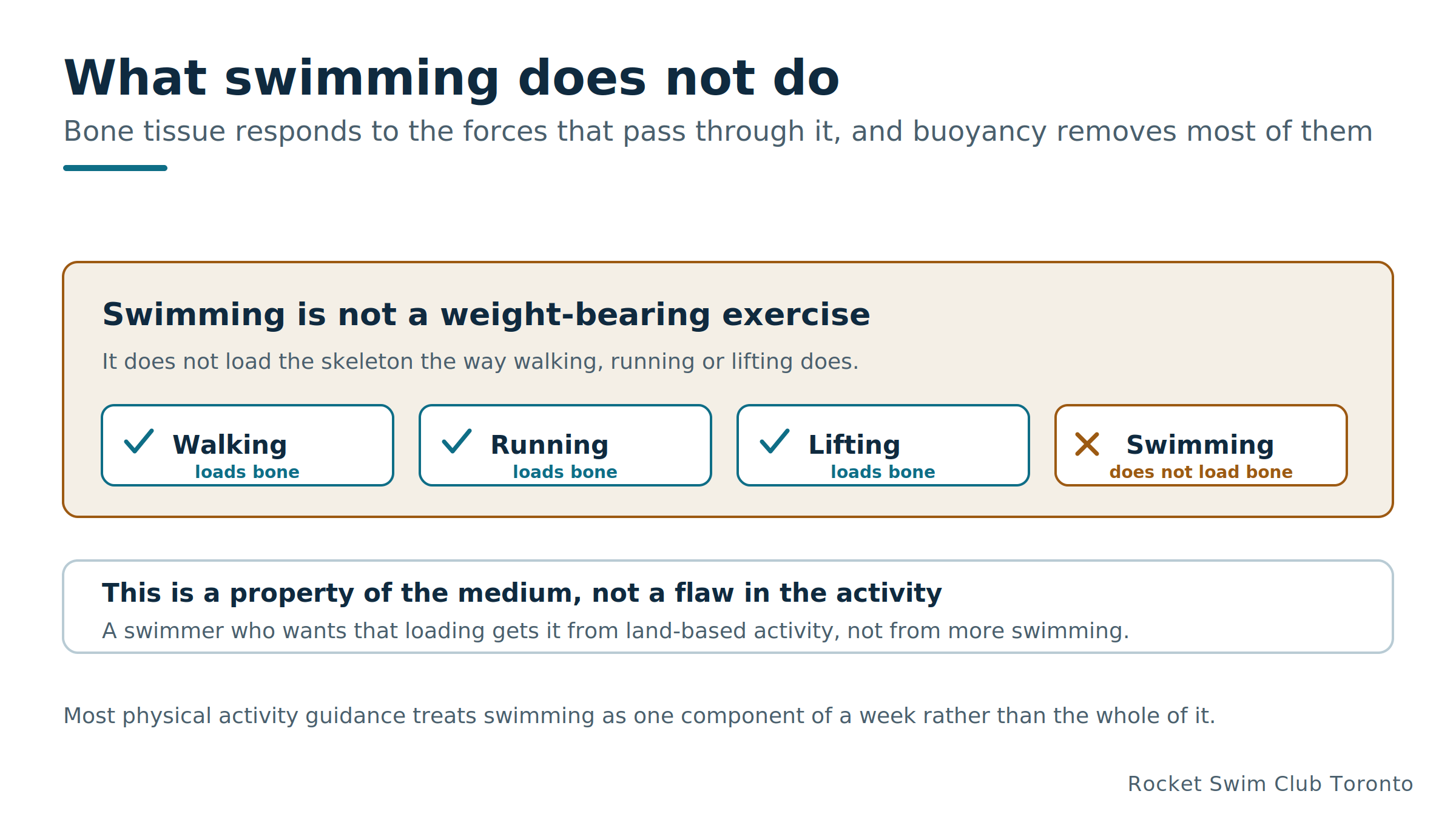 What swimming loads